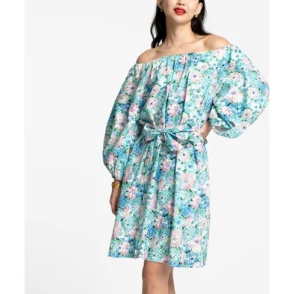 Tuckernuck Frances Valentine Bliss Mini Dress Chrysanthemum Blue Size Small